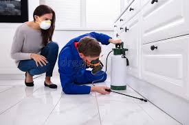 Best Fumigation Services  in Bridgeport, PA